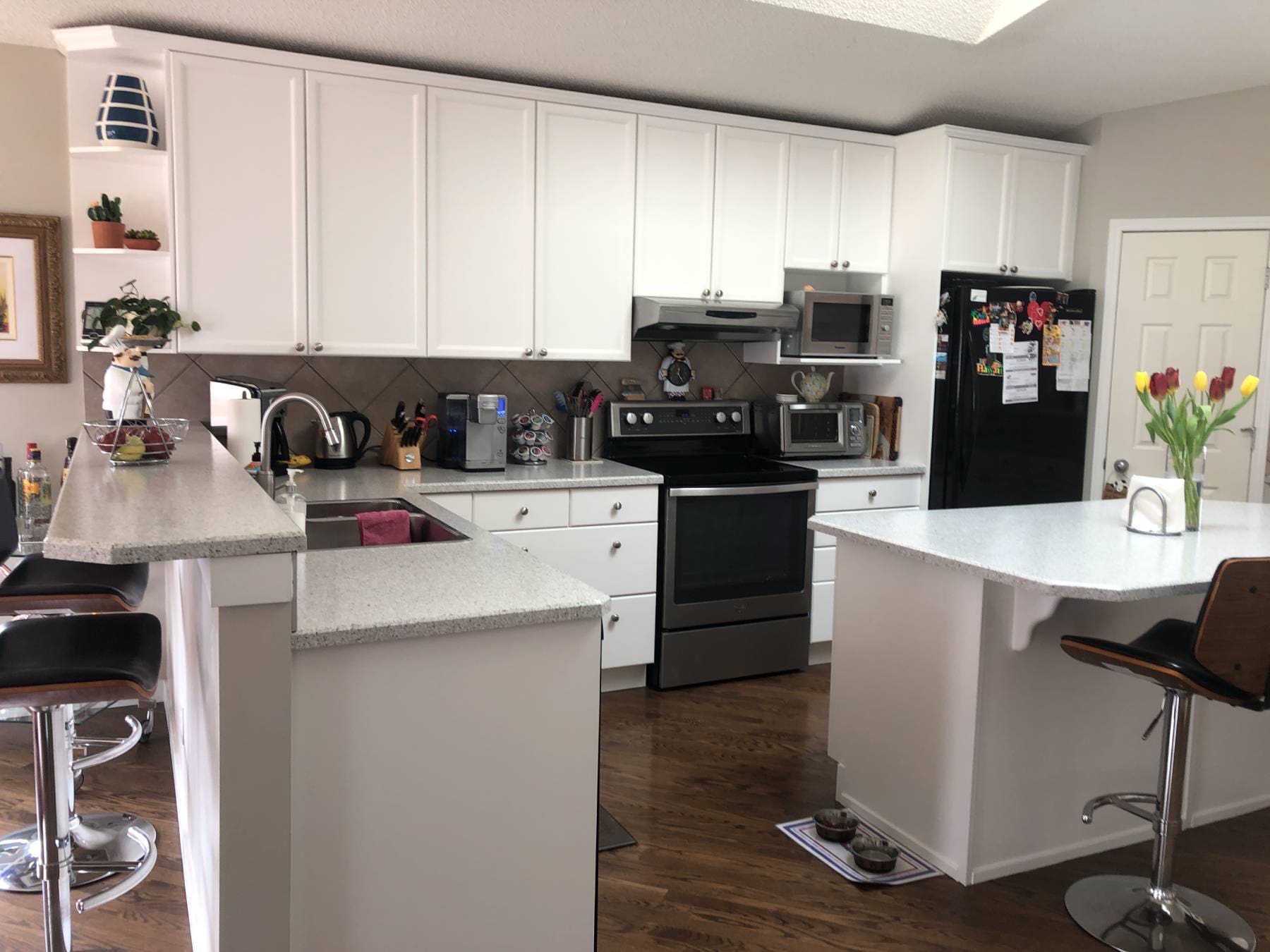 Modern stylish white painted kitchen