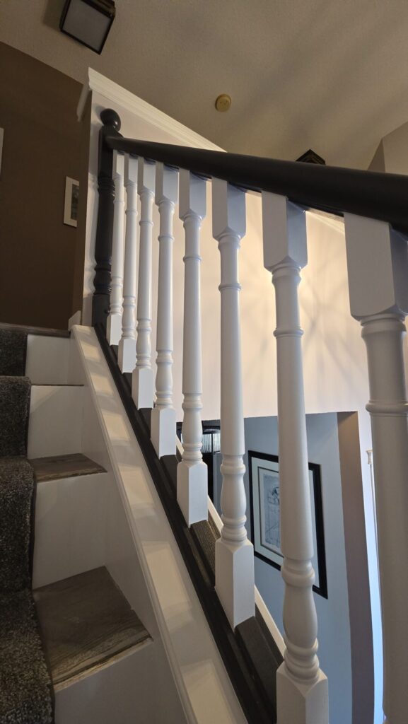black and white railing 2