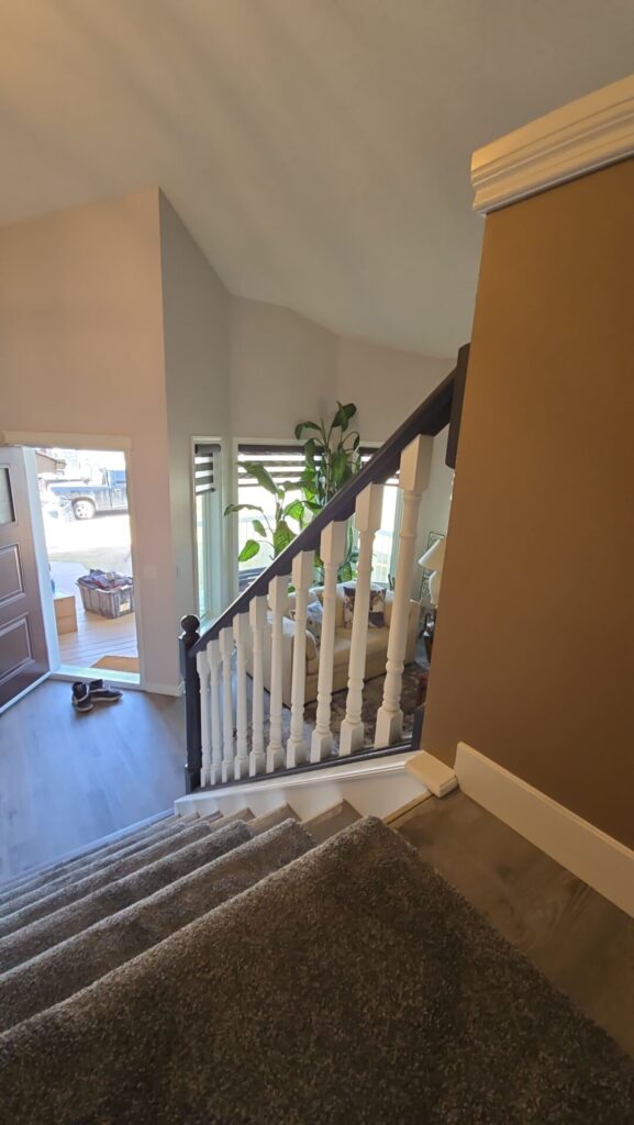 black and white railing 4