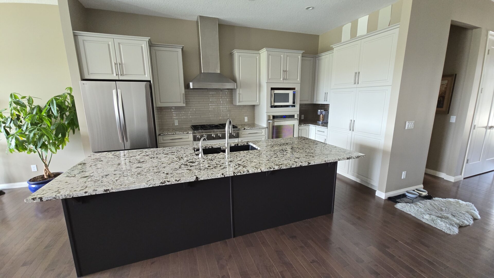 pewter and black two-tone 2